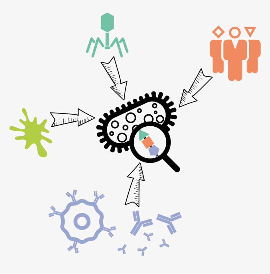 Capsule-evolution, HD Png Download