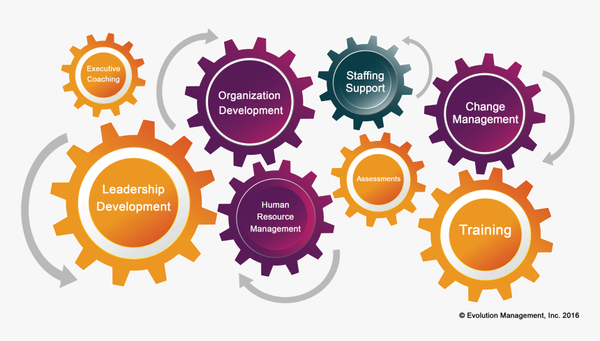 Emi Gears Model - Information Literacy Is Important, HD Png Download