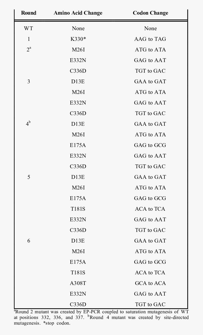 Document, HD Png Download