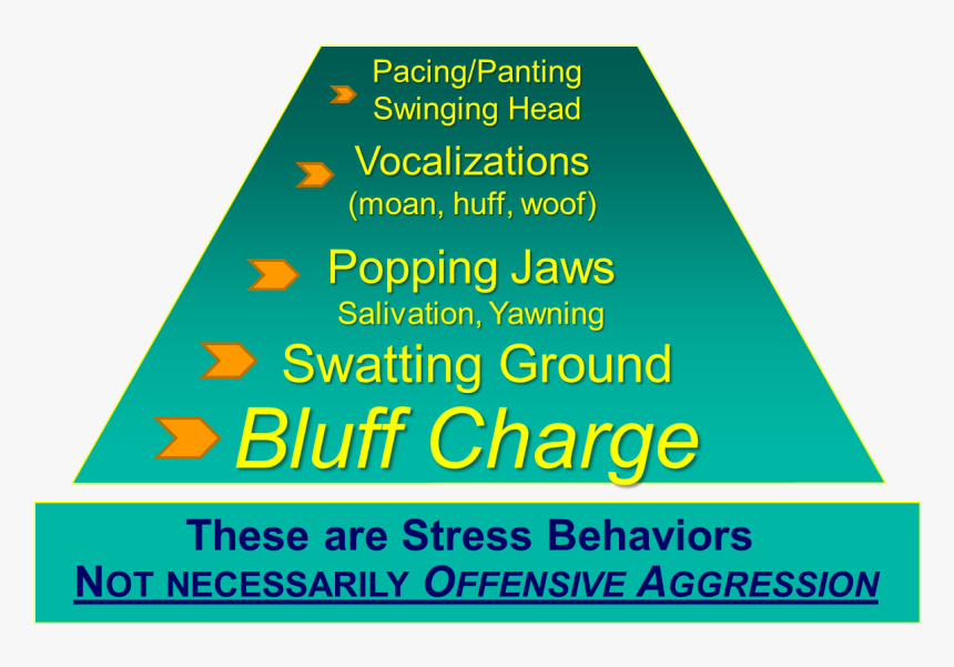 Poster, HD Png Download