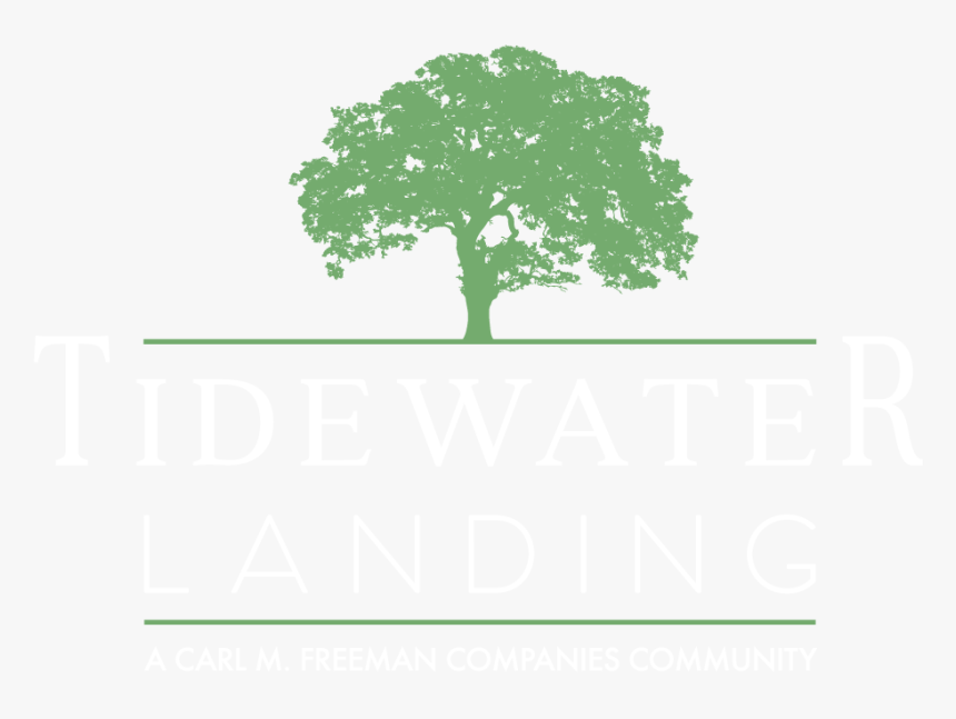 Tidewater Landing - Oak, HD Png Download