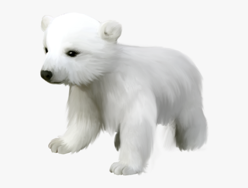 Polar Bear Png - Cute Polar Bear Clipart, Transparent Png