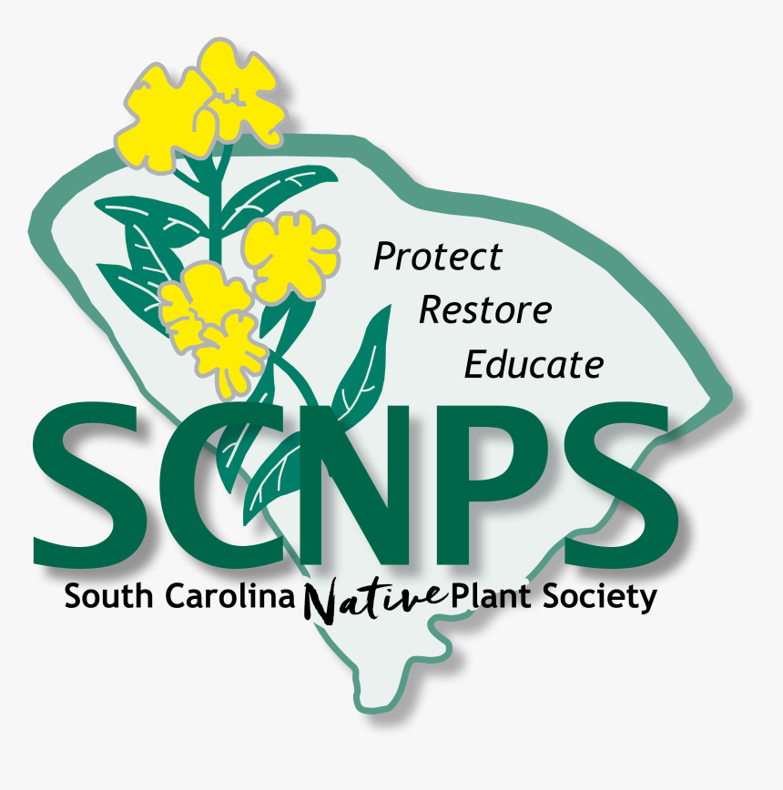 The South Carolina Native Plant Society - South Carolina Native Plant Society, HD Png Download