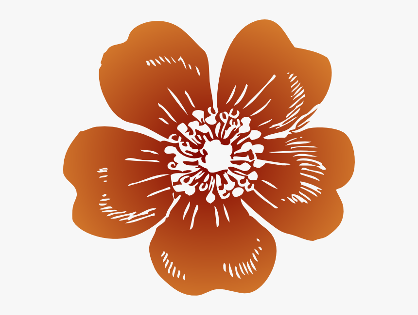 Clip Art Wild Rose, HD Png Download