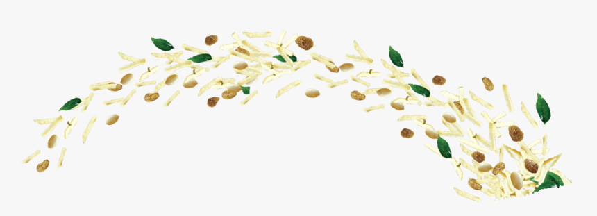 Seed, HD Png Download