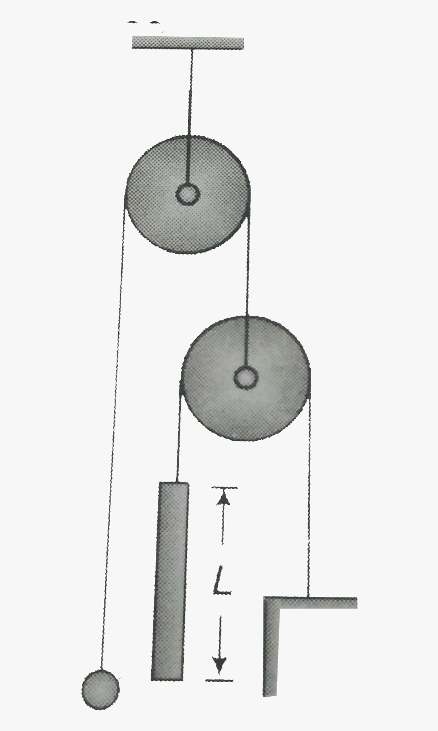 Circle, HD Png Download