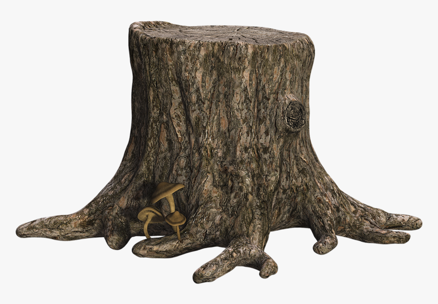 Tree Wood Png - Tree Wood Png Hd, Transparent Png
