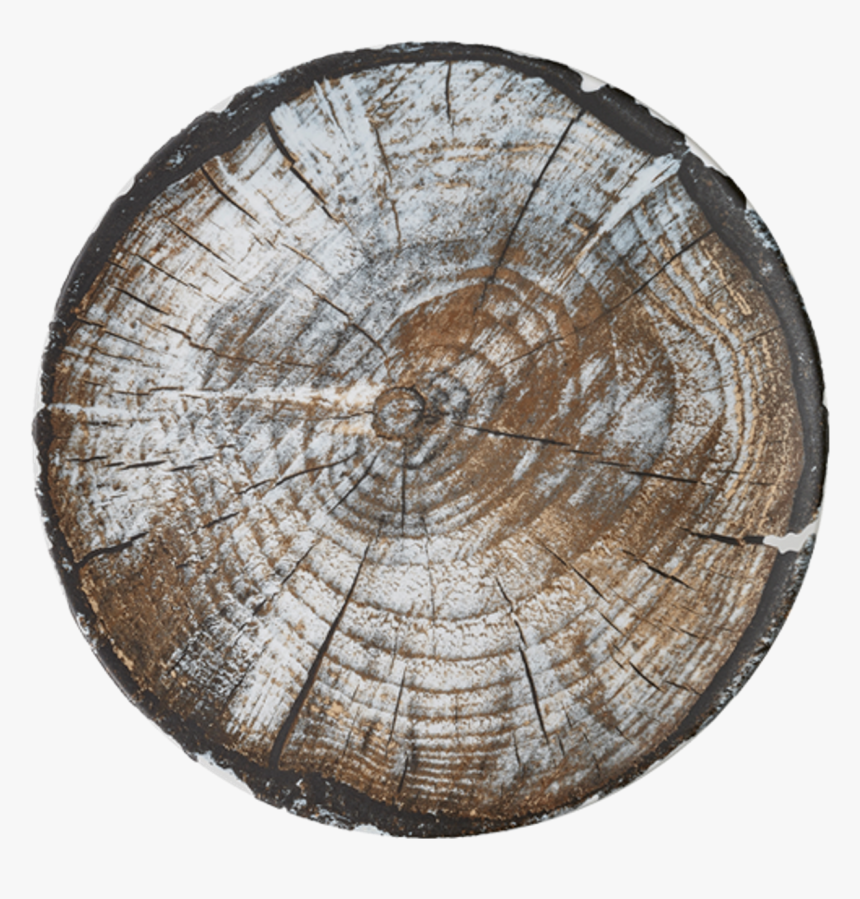 Transparent Wood Grain Png - Wood, Png Download