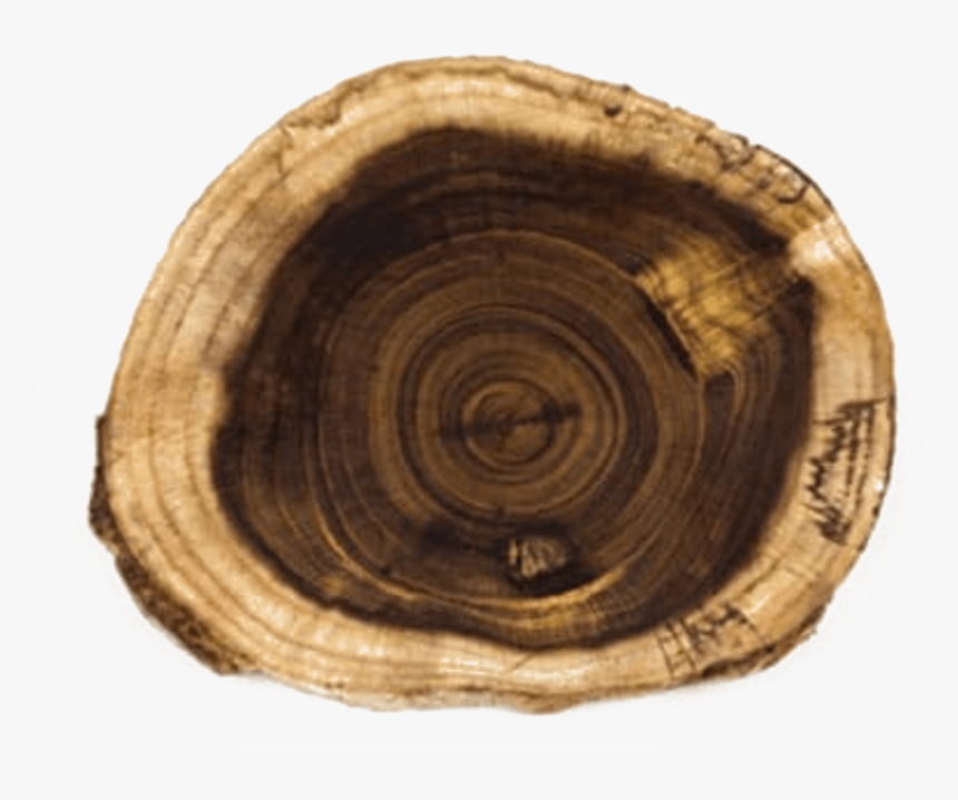Weinholz - Holz Mit Schöner Maserung, HD Png Download