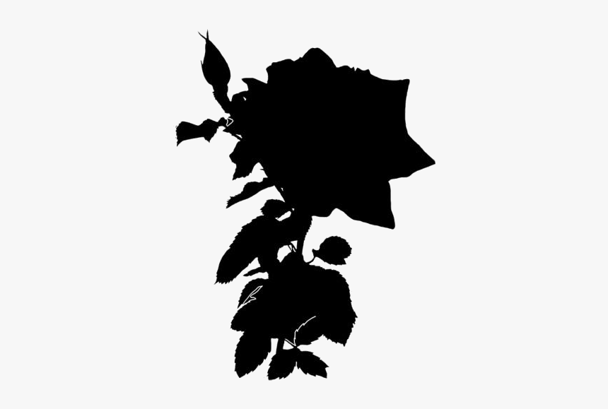 Rose Plant Png Hd Image - Silhouette, Transparent Png