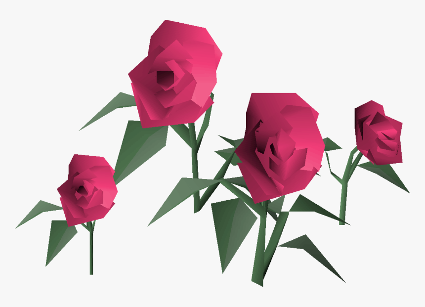 Garden Roses, HD Png Download