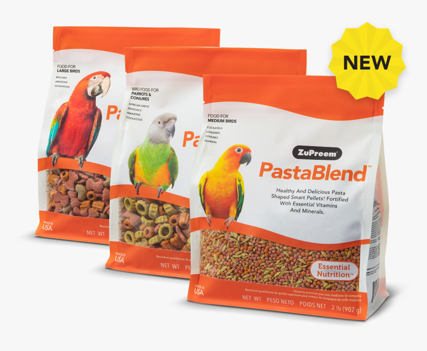 Macaw, HD Png Download