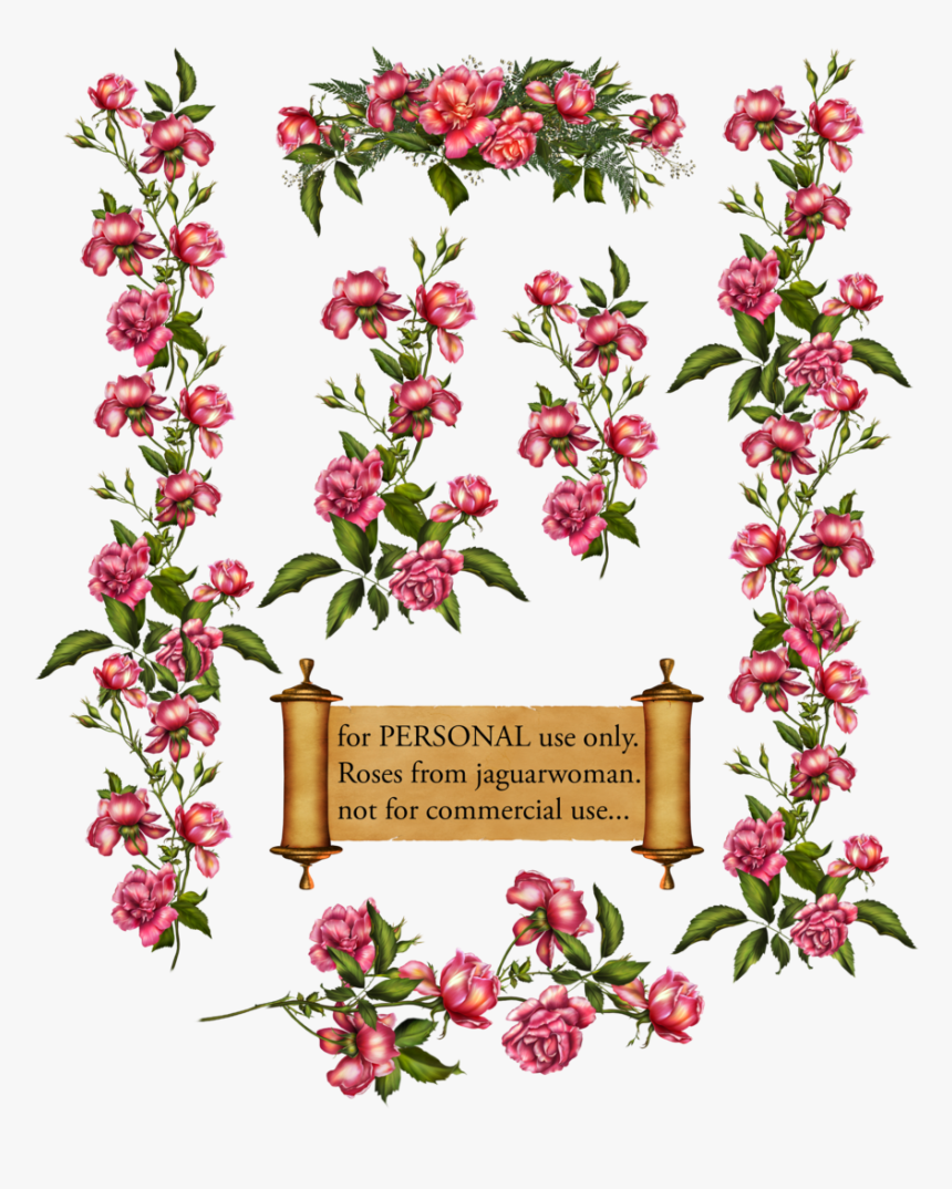 Rose Bush Clipart Rose Vines - Blossom Vines Clip Art, HD Png Download