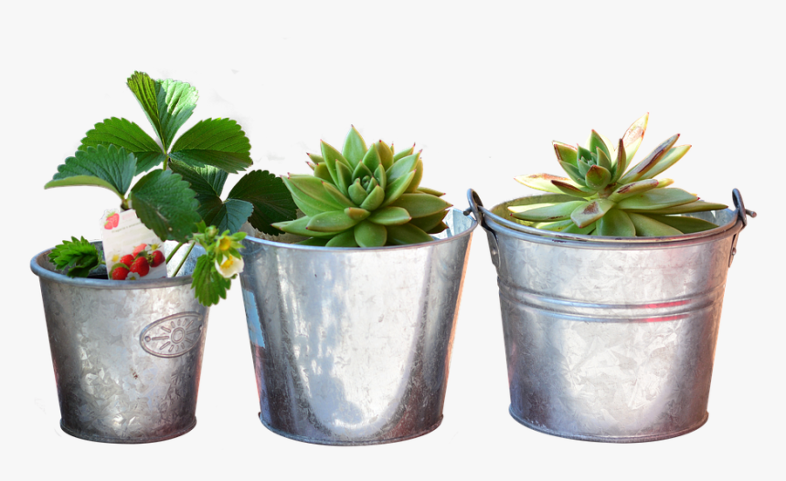 Planting Bucket, Bucket, Plant, Balcony, Flowers - Still Life Plants, HD Png Download