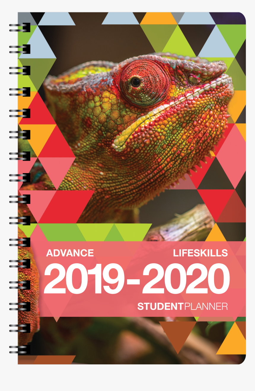 School Student Png Images, Transparent Png