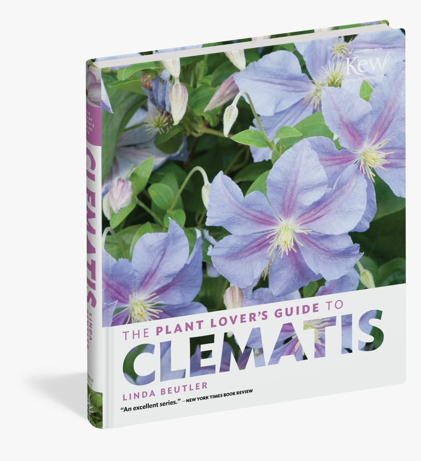 Cover - The Plant Lover's Guide To Clematis, HD Png Download
