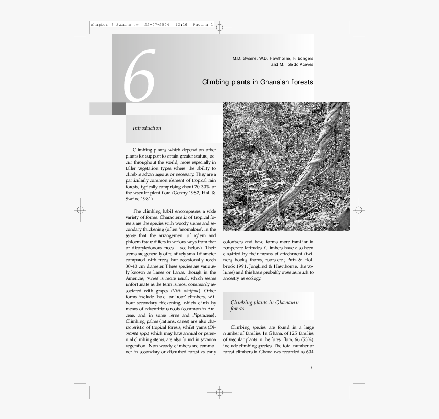 Examples Of Climbing Plants In Ghana, HD Png Download