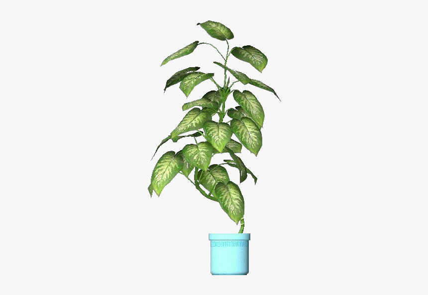3d Flowers - Pothos - Acca Software - Houseplant, HD Png Download