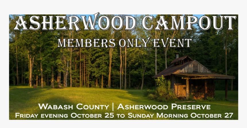 Diamond Grillz, HD Png Download