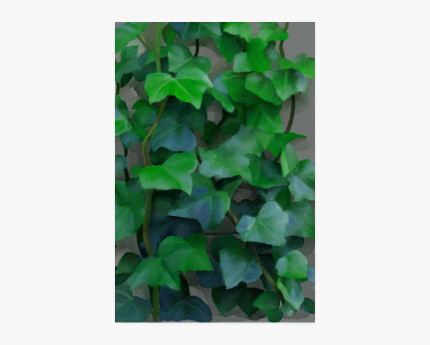 Vines, Climbing Plant Poster 20 X30 - Climbing Vines Zoom, HD Png Download