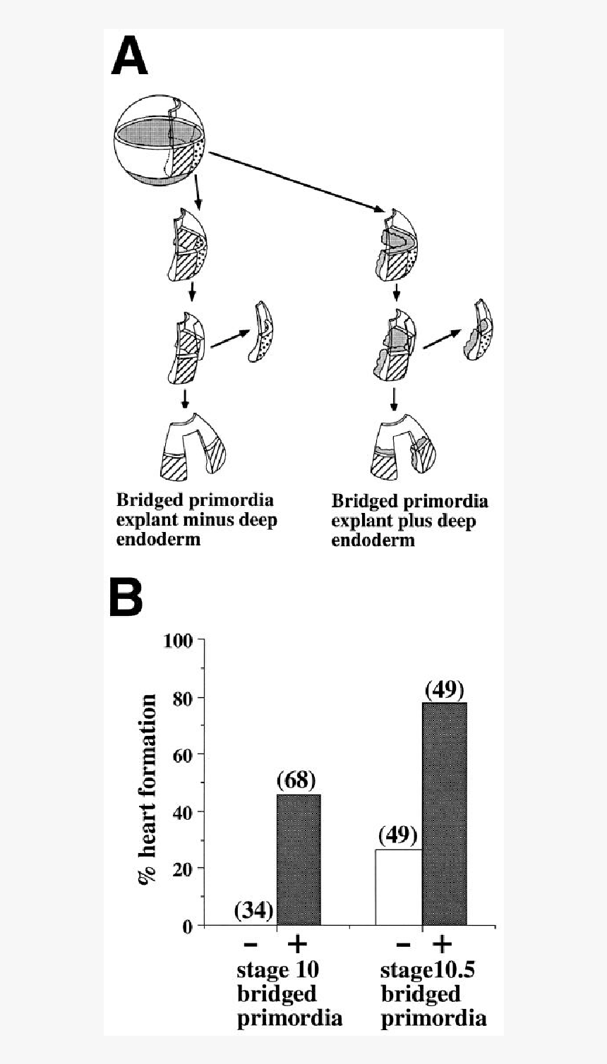 Diagram, HD Png Download