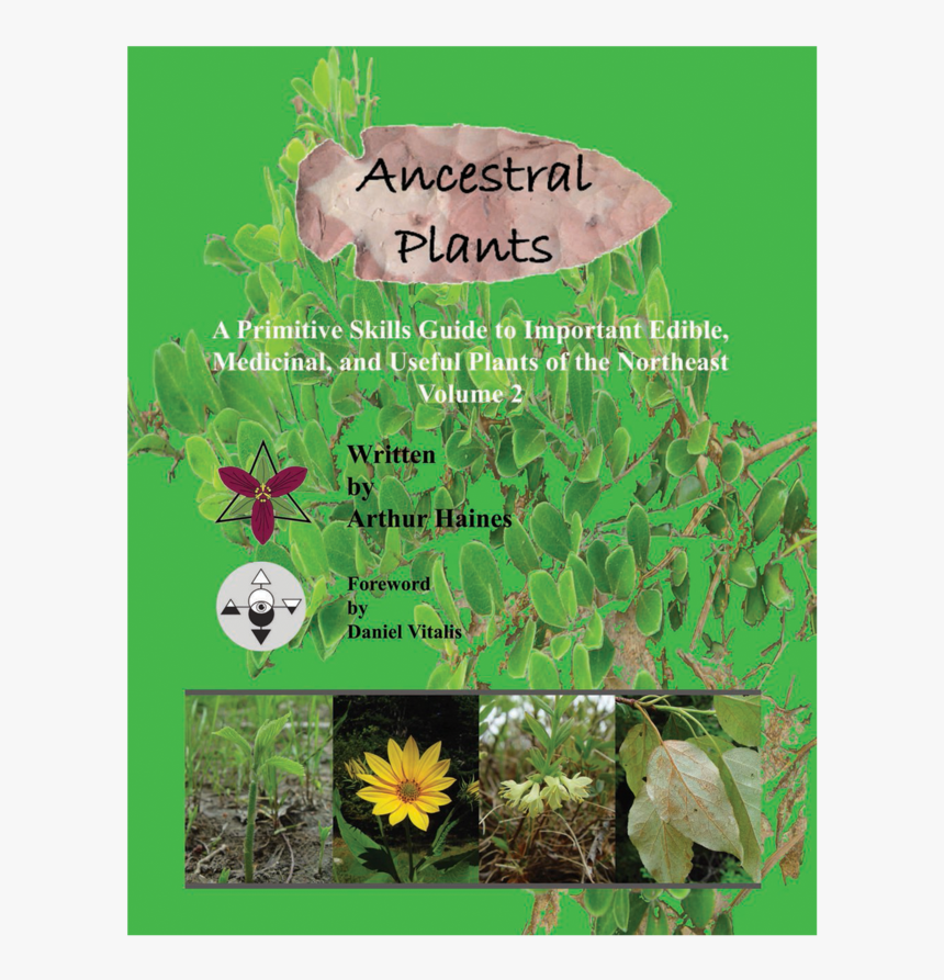 Hierochloe, HD Png Download