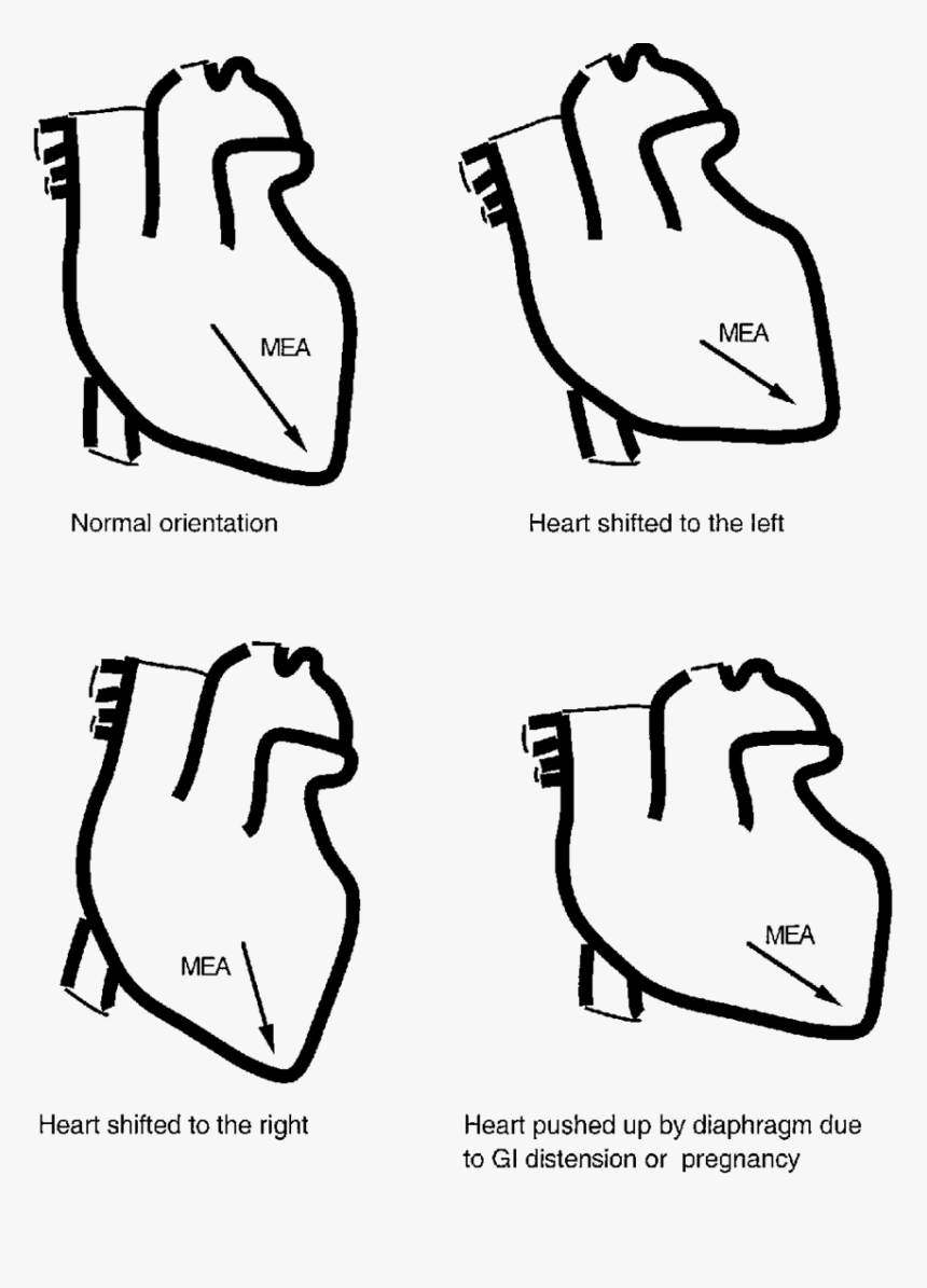 Line Art, HD Png Download