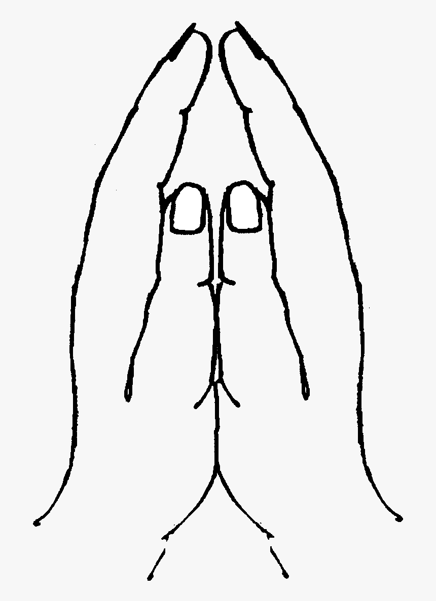 Praying Hands Hand Child Prayer Clip Art Transparent - Clip Art, HD Png Download