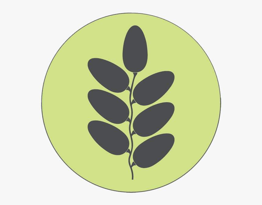 Circle, HD Png Download