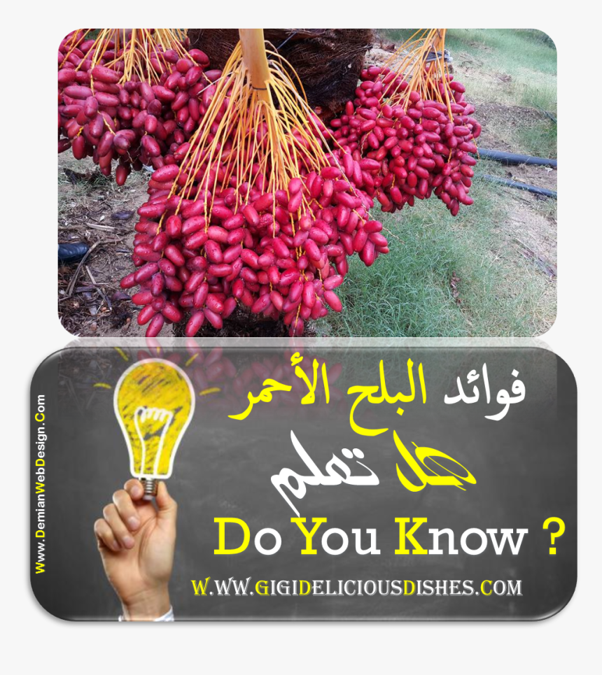 Fruit, HD Png Download