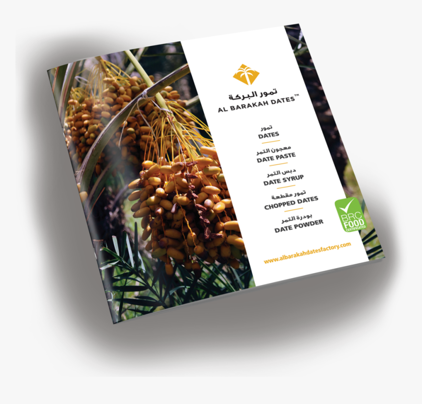 Brochure Mockup - Flyer, HD Png Download