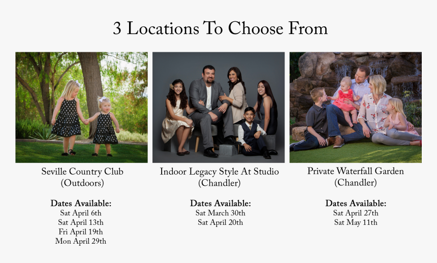 Tree, HD Png Download