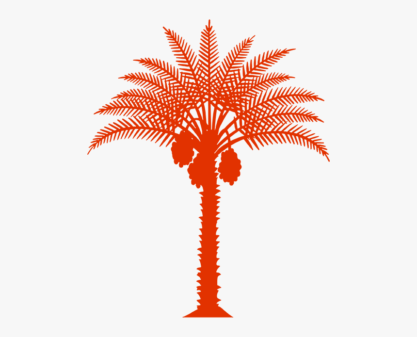 Palm - Medjool Dates California, HD Png Download