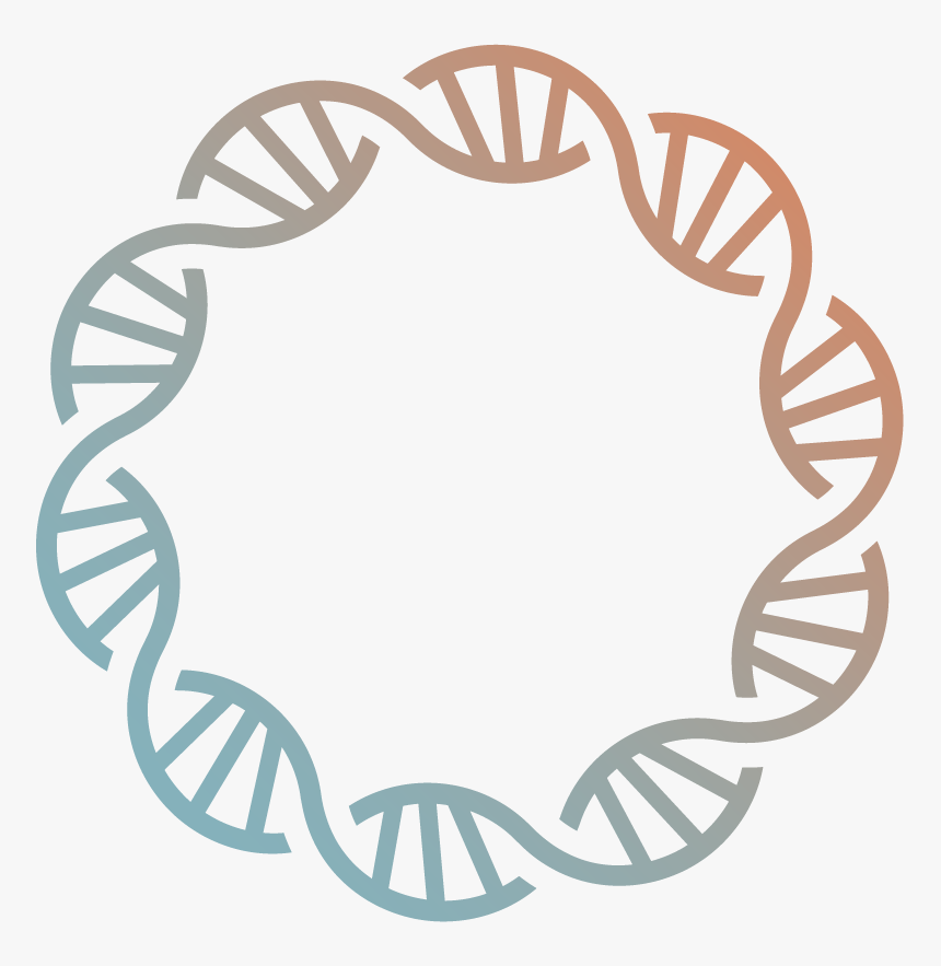 Dynamic Marriage, HD Png Download