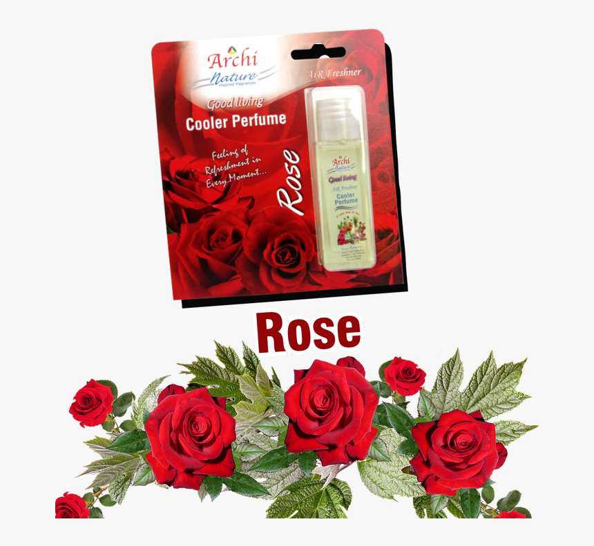 Mogra Flower Png, Transparent Png