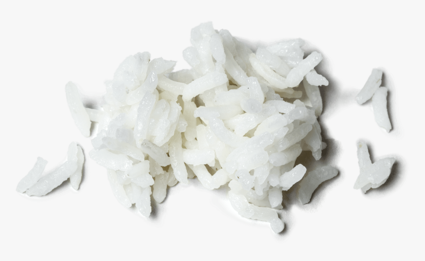 Hydrangea, HD Png Download