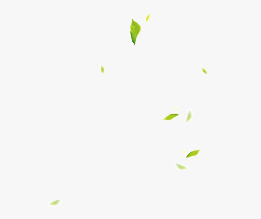 Leaf, HD Png Download