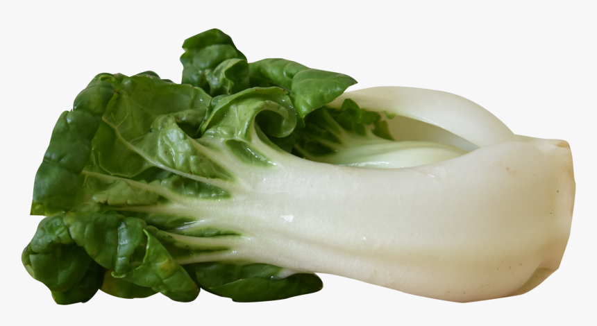 Vegetables Png Images - Bok Choy, Transparent Png