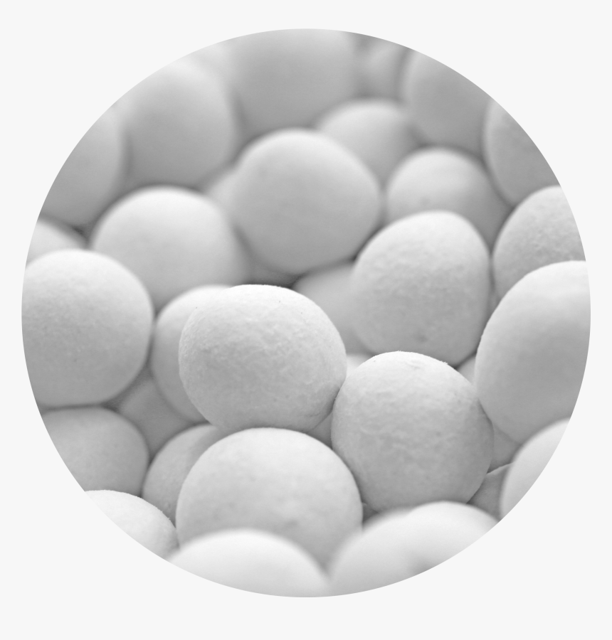 Hosa, HD Png Download