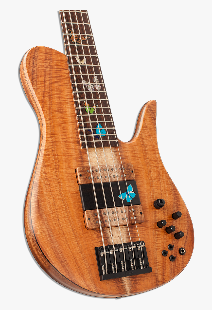 Bass Guitar - Fodera Redwood Burl, HD Png Download