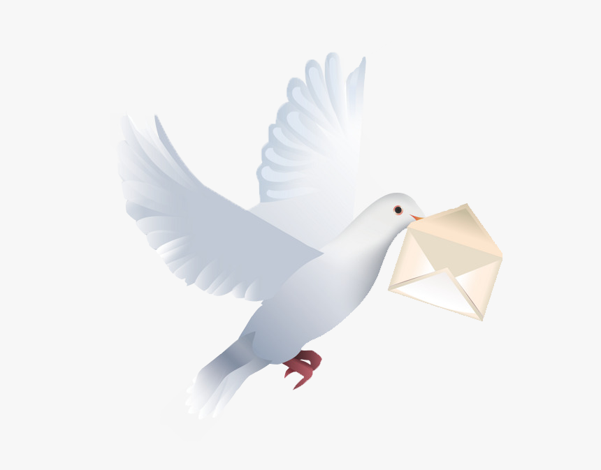 Pigeon Png Free Download - Happy Birthday Wishes With Pigeon