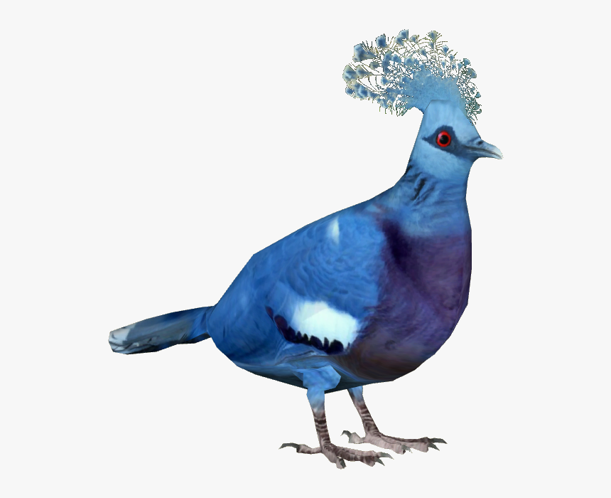 Transparent Pigeon Png - Victoria Crowned Pigeon Png, Png Download