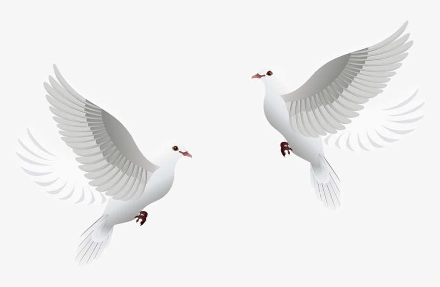 Wedding Dove Clipart Png, Transparent Png