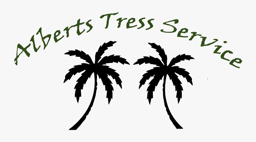 Black Palm Tree Png, Transparent Png