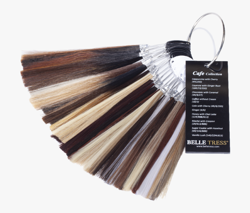 Belle Tress Coloring - Brochure, HD Png Download