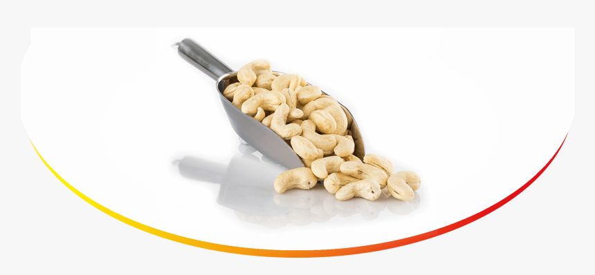 Cashew In Spoon Png, Transparent Png