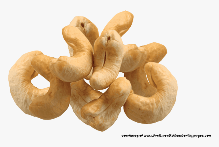 Nut Clipart Cashew Nut - Cashew, HD Png Download