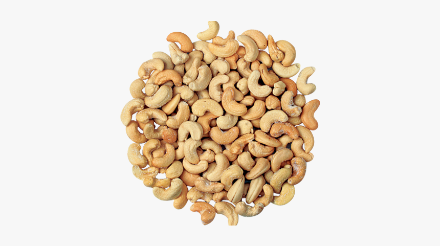 Image03 - Cashew, HD Png Download