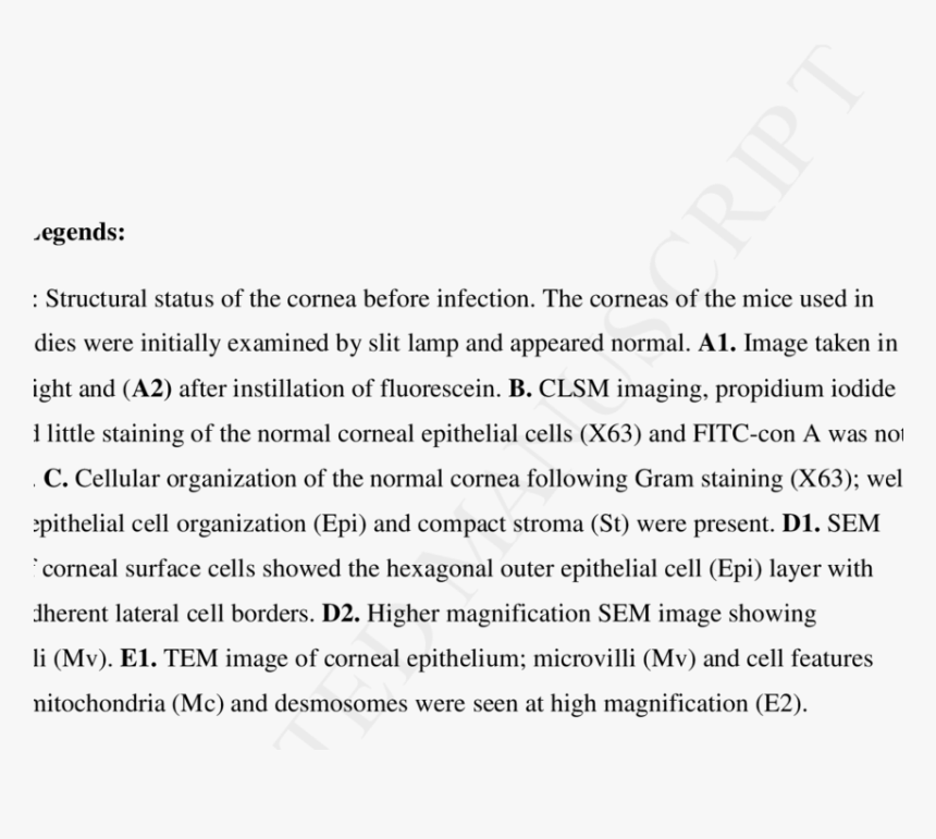 Document, HD Png Download