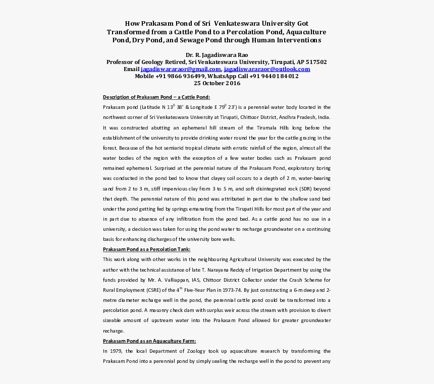 Protection Of Basic Human Rights Of Minorities In The, HD Png Download